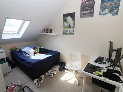 Picture 15